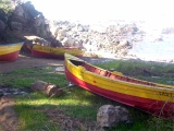 caleta las cruces3.jpg